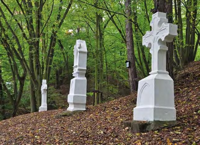 Ročenka 2017 Vydal: Výzkumný ústav lesního hospodářství a myslivosti, v. v. i. Strnady www.vulhm.cz Odpovědný redaktor: Ing.