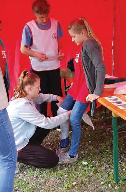kroužků
