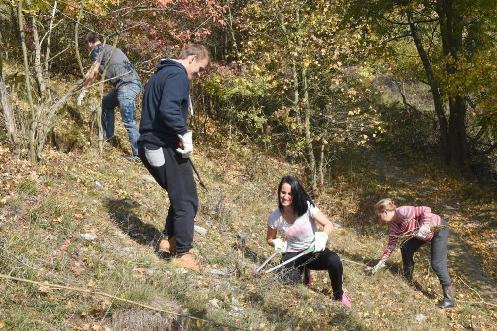 o sečení a výřezy dřevin na světlinách a stepních lokalitách v NPP Stránská skála, NPP Červený kopec, NPP Rudické