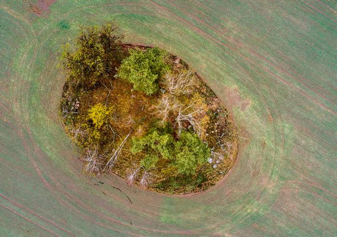 padní části území (Vrčatínský vrch 589 m n. m., Hodovská horka 581 m n. m.), nebo o některé erozní doliny místních vodotečí (Marek, Kundelovský potok, Oslavička).