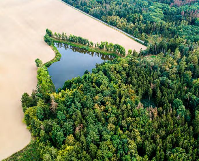 legenda Regionální zlom (délka >10 km, šířka >100 m)