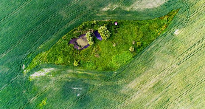 Geologická stavba lokality V lokalitě Čihadlo jsou pro další analýzy doporučeny jako nejvhodnější dva bloky v severní části území.