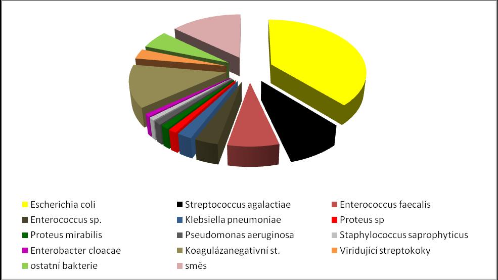 Graf 3 Spektrum bakterií kultivovaných ze vzorků močí od ambulantních pacientů (říjen 2012) Tabulka č. 3 uvádí rozdělení vzorků podle diagnózy. Diagnóza cystitida (včetně akutní, N30.