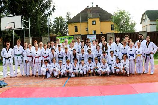 Jsem bývalým asistentem reprezentačního trenéra, zakladatelem Sportovního centra mládeže v Praze, členem výkonného výboru Českého svazu taekwondo WT a předsedou komise soutěží.