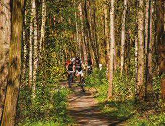 bezeckenadeje.cz/events/beho-pohar-starosty-aneb-beh-zaujezdskou-sovou-14-roc/ nebo na místě startu od 8:00 hod., nejpozději 30 min. před startem příslušné kategorie.