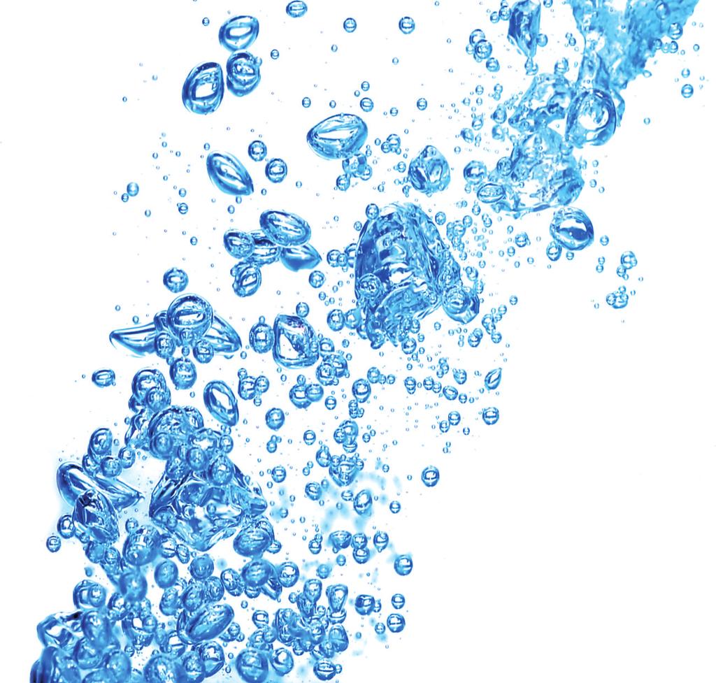 WCS - WASH AND CARE SYSTEM Pro správnou funkci zařízení je nezbytná pravidelná údržba.