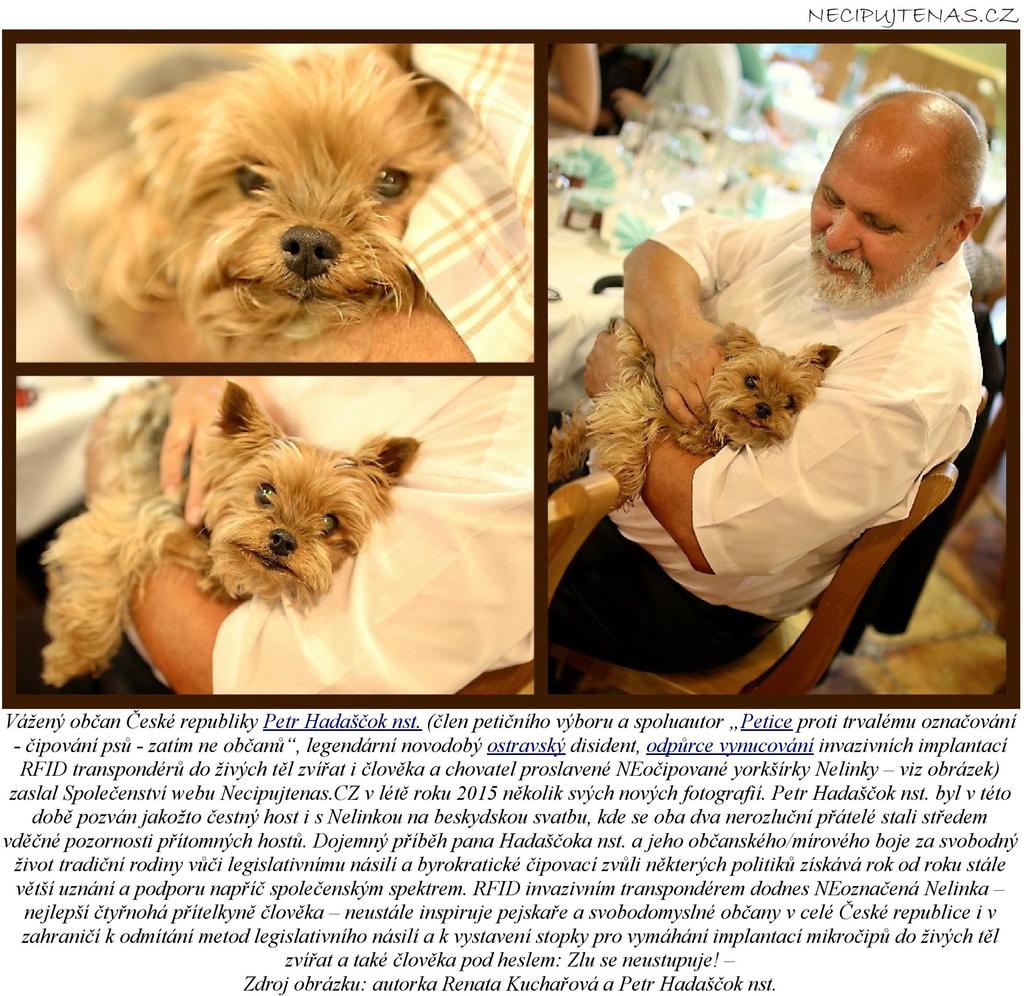NECIPUJTENAS.CZ z čipování psů na základě předložených posudků z provenience veterinárních specialistů. Krom jiných odborníků k nim patří následující osobnosti: MVDr.