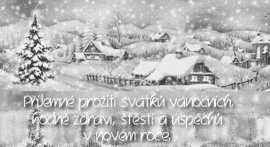 Celý tým ze Střediska sociálních služeb Salvia, z. ú.
