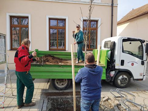 Pro představu bych ráda uvedla, že Dolní Kounice si požádali o dotaci 5 000 000 Kč na komunikaci na ulici Jiráskova v rámci programu Podpory obnovy místních komunikací v obcích do 3 tis. obyvatel.