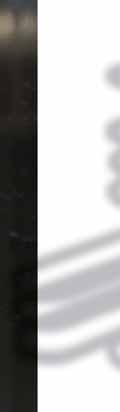 its small size and