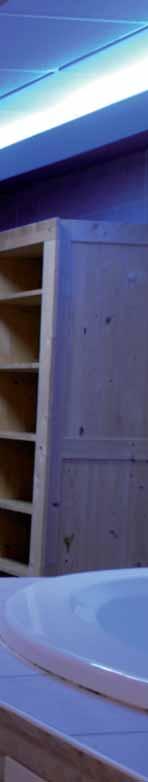 Designedelstahl-Wand