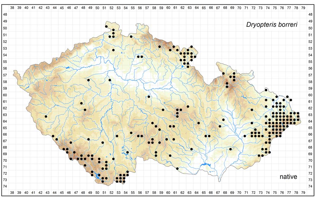 Distribution of Dryopteris borreri in the Czech Republic Author of the map: Libor Ekrt Map produced on: 12-05-2016 Database records used for producing the distribution map of Dryopteris borreri