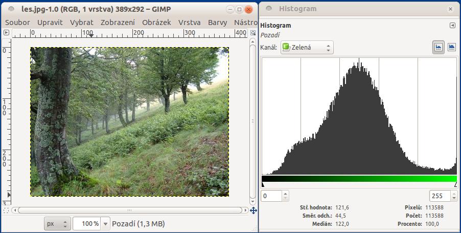 Histogram variace na téma