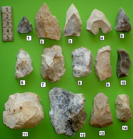 Jelínková, R. : Paleolitické nálezy z území bývalých soudních okresů Bílovec, Fulnek a Klimkovice. Magisterská diplomová práce (2007). Neruda, P. : Neandertálci na Kotouči u Štramberka, Olomouc 2006.