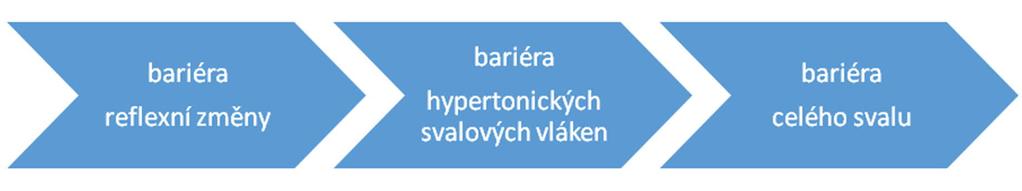 Komplexní kineziologický rozbor 3.6.1 Názvosloví bariér I. Z hlediska vnímání kvality bariéry Elastická bariéra Je to fyziologická pružná bariéra typická pro danou tkáňovou strukturu, např.