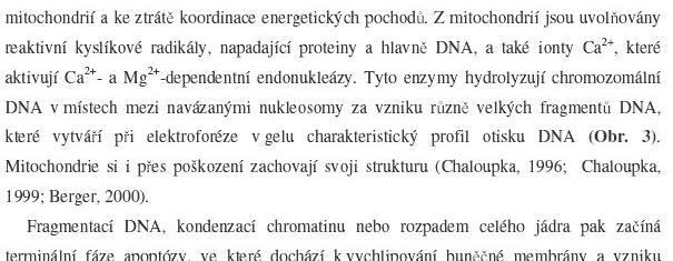 2) lánky v elektronickém asopise stejn jako u textových zdroj (odlišnost ažv p ehledu