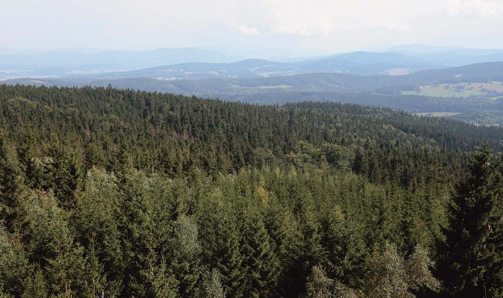 prostor pro seberealizaci Třetina absolventů jsou ženy foto Kateřina Šimková Tématem číslo jedna je v posledních týdnech kůrovcová kalamita, která svírá Českou republiku.