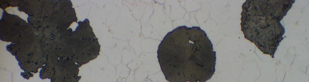 Fig.1.: Microstructure of DI (LM), a summary, b - detail.