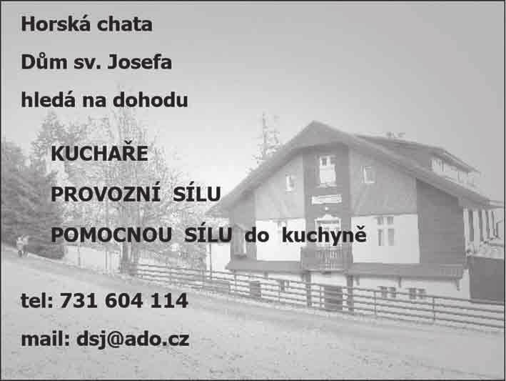 OKÉNKO PRO DĚTI VIDEOTIP PRO MANŽELE Mark Gungor Biskupství brněnské, Diecézní katechetické centrum Mark Gungor neskutečný bavič s hlubokým biblickým poselstvím, americký