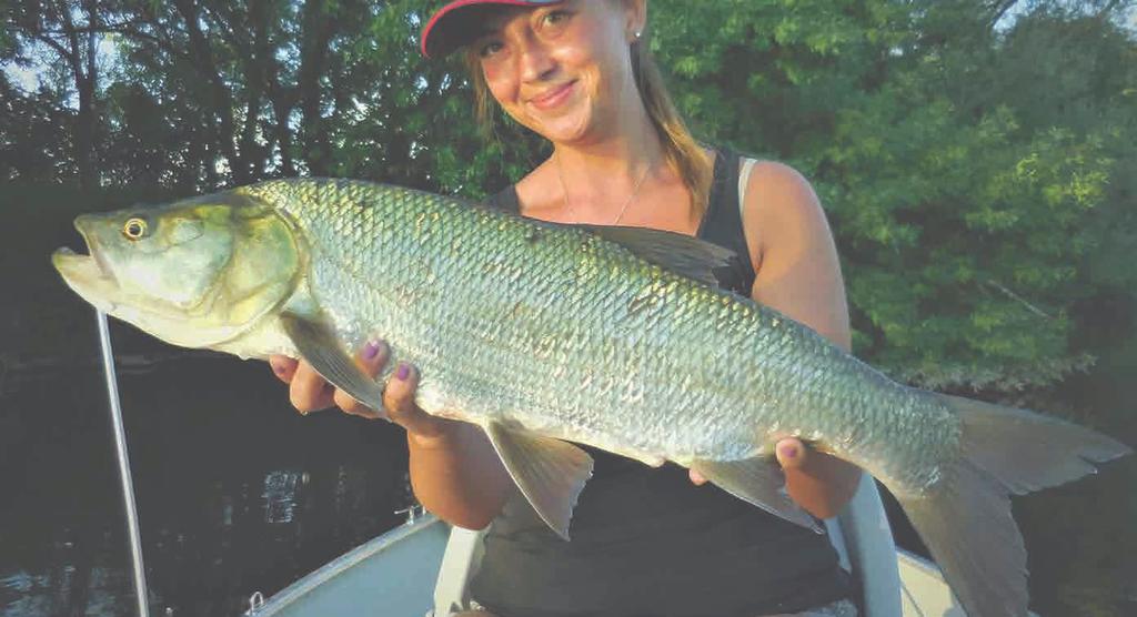 K nákupu zdarma 09 10/2018 VŠE O RYBAŘENÍ Články Tipy Zajímavosti Zprávy od vody Humor Soutěže Ochrana přírody Doporučujeme Travnatá