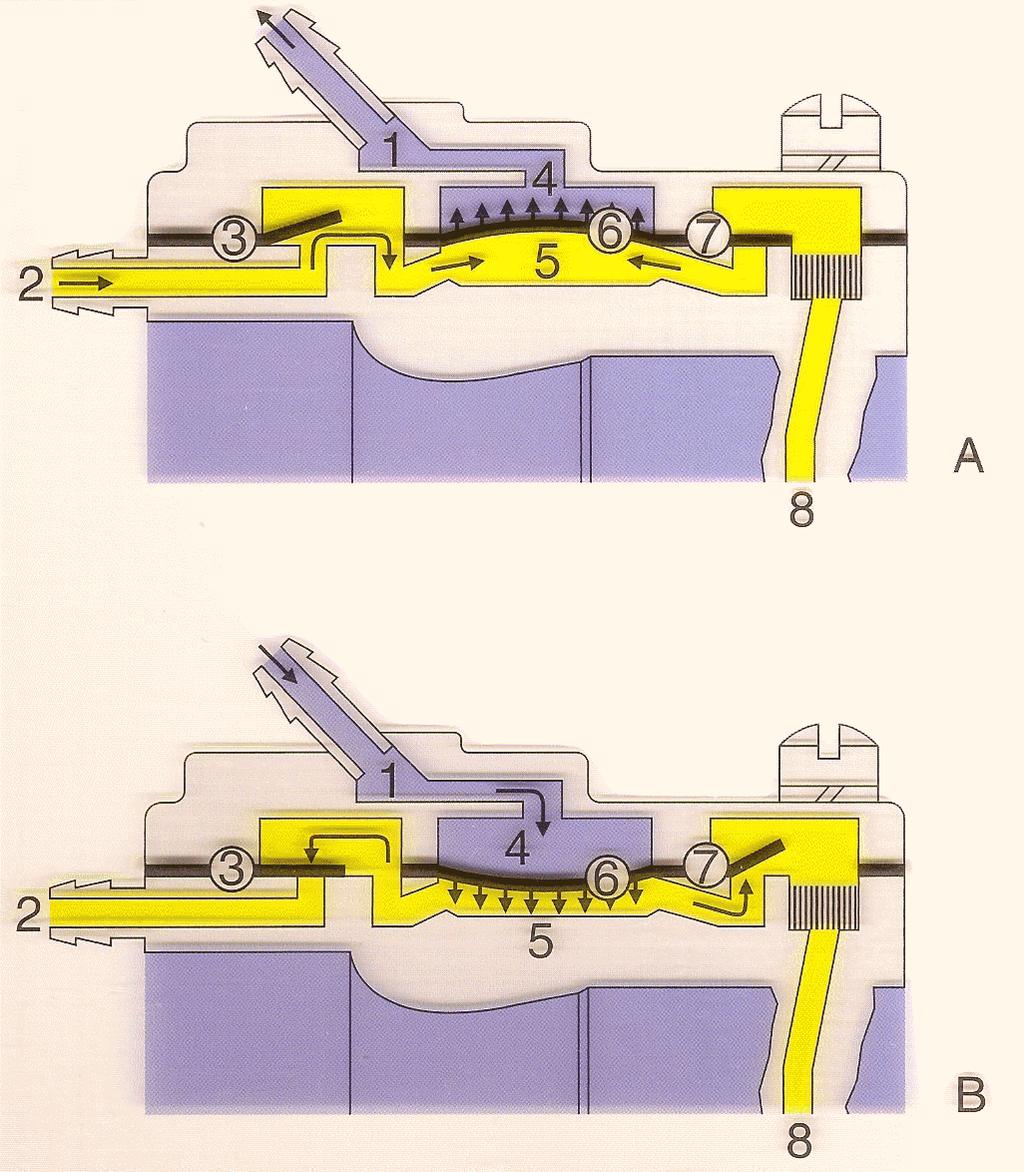 Kapitola 1 strana 20