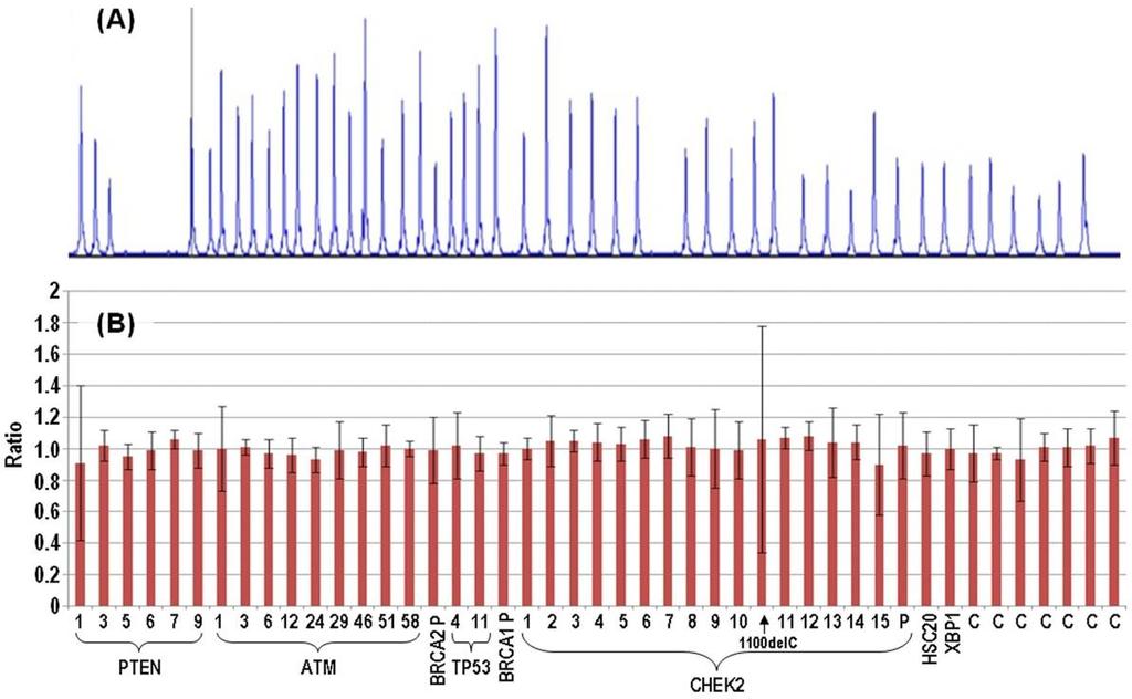 Biosystem) and then exported to the Coffalyser v.