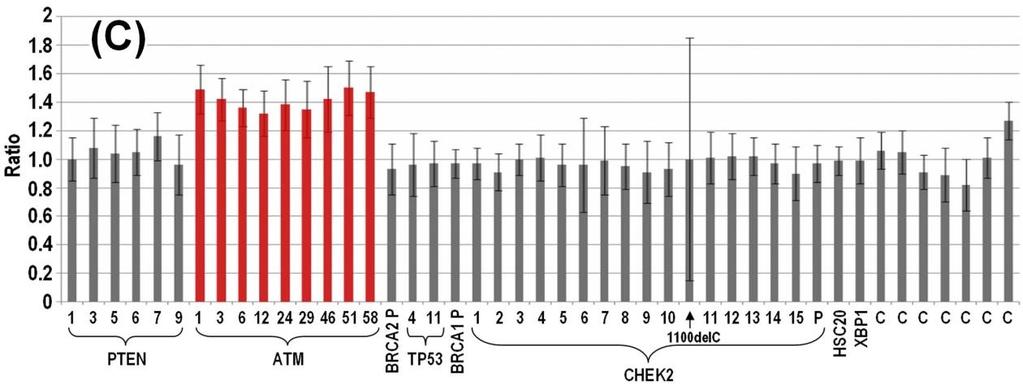 Figure 16 Results of MLPA P190 analysis of samples with CHEK2 exon 14 deletion (A; in MLPA CHEK2 mix