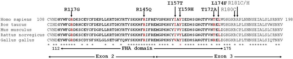mentioned NHL study, the I157T mutation has been also reported to be associated with higher risk of chronic lymphocytic leukemia development (OR = 14.83; p = 0.0008). 159 Alteration c.