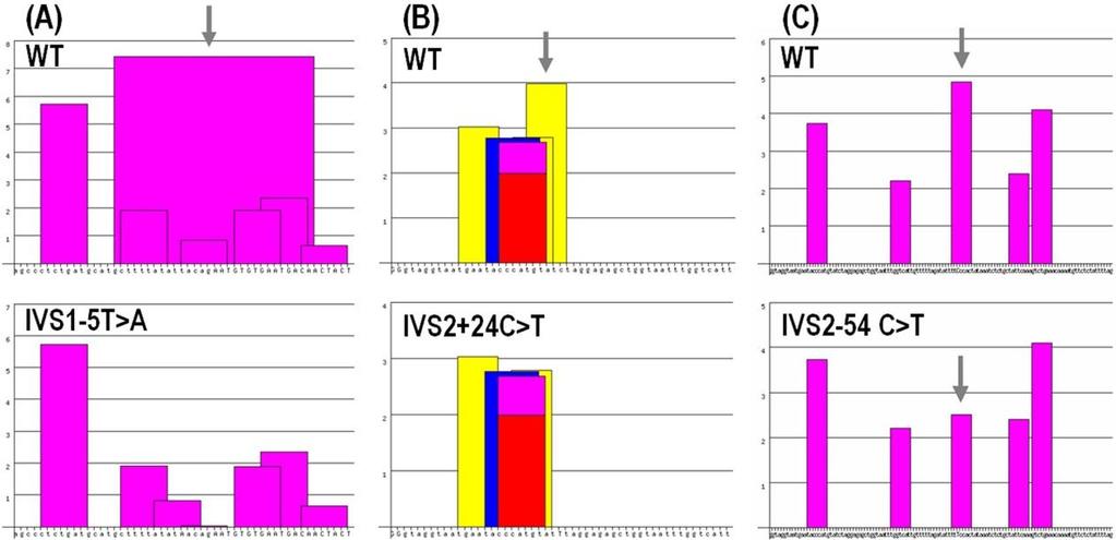 Figure 22 Prediction of the effect of selected intronic variants on CHEK2 pre-mrna splicing (ESE Finder 3.0; http://rulai.cshl.edu/tools/ese).