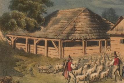 S T R Á N K A 11 Z HISTORIE OBCE O ovcích a salaších II. Hutisko bylo centrem salašnictví na Rožnovsku. Ne proto, že by se tu bylo nejvíce ovcí nebo salaší.