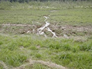 VP RRD a klima II Zmakroklimatického a hydrologického hlediska: RRD na TTP: jedná o neutrální změnu porostu.
