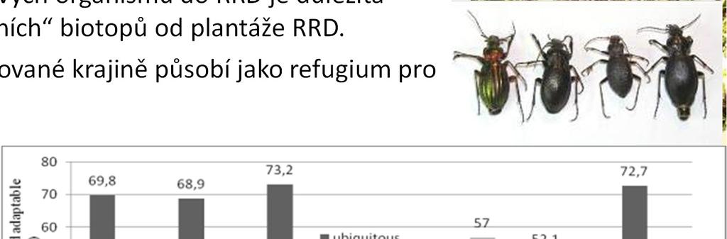 přechodový ekosystém selský les atraktivní pro různé organismy a