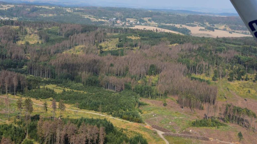 Úvod rekapitulace stavu lesa v Česku Lesy v Česku cca 2,7 mil.