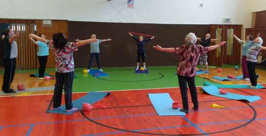 PK Havlíčkův Brod, Společnost Parkinson, z. s. Ilona Štěpánková, předsedkyně Vítejte v Parkinson klubu Havlíčkův Brod Náš klub se řadí spíše k menším klubům a jeho vznik se datuje k listopadu 2000.