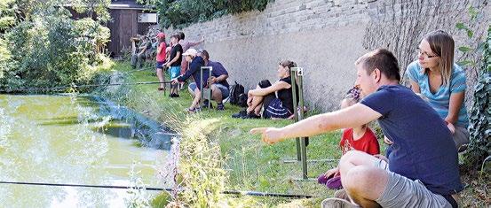 Rodiče přivezou děti ráno přímo na jízdárnu mezi 8:00 a 9:00 hodinou a vyzvednou si je tam vpodvečer mezi 17:00 a 18:00 hodinou. Celodenní strava a pitný režim je zajištěn. Týdenní turnusy začínají 8.