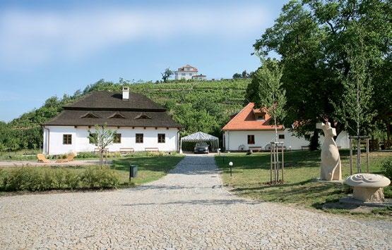 602 881 118 nebo přímo v ateliéru. Na farmářských trzích rozpálí gril Dva čtvrtky, 16. května a 30. května, provoní Sofijské náměstí vůně grilovaného masa.