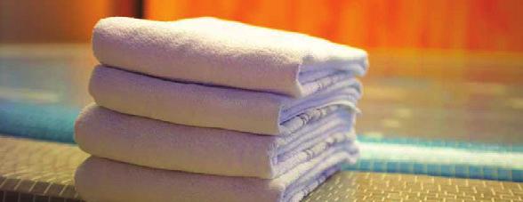 Analýza nákladů na praní havon PROFESSIONAL % podíl Druh prádla Nečistota Způsob praní Péče Teplota Kč/ kg prádla 40% Praní za varu silný s předpírkou s dezinfekcí 60 C xxx 35% Barevné prádlo