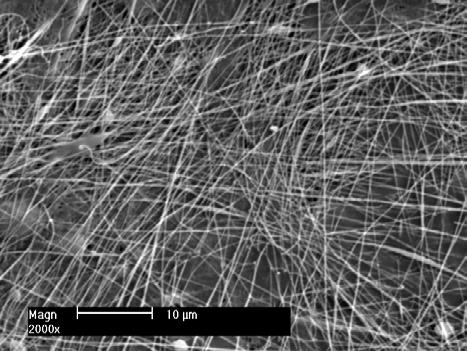 A B C D E 1 μm 200 nm 200 nm F G H 50 nm