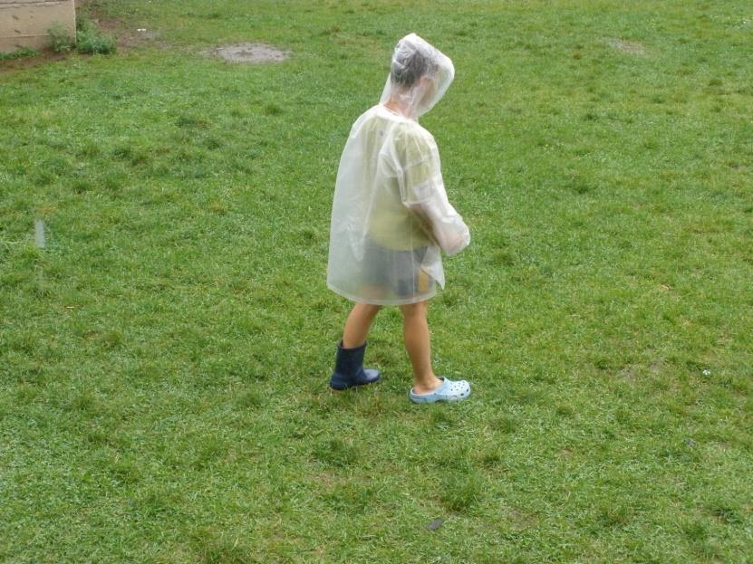 Výroční zpráva NIDAR za rok 2014