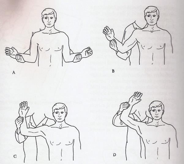 Obrázek 20 - Provedení testu dle Rockwooda Převzato z: (Gross, 2005) Aprehension test se většinou provádí vleže na zádech, ale může se provádět i ve stoji.