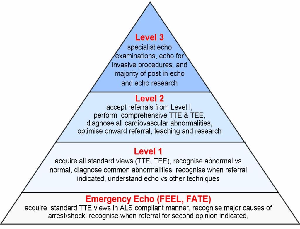 Úroveň kompetencí Expert level Basic level