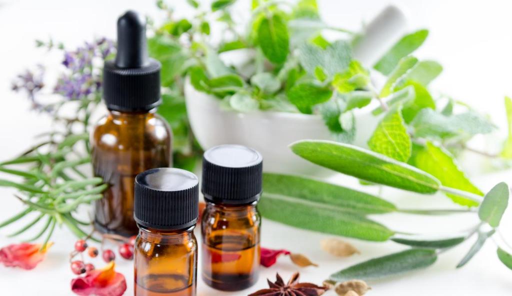 Klinická naturopatie Obor Klinická naturopatie je specificky koncipovaným západním směrem celostní přírodní medicíny, který propojuje znalosti a tradice přírodního léčitelství s nejnovějšími poznatky