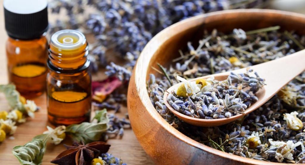 Západní fytoterapie Západní fytoterapie jako samostatný obor či jako jeden z profesních oborů Klinické naturopatie se velmi specificky aplikuje při řešení a prevenci široké škály zdravotních problémů.
