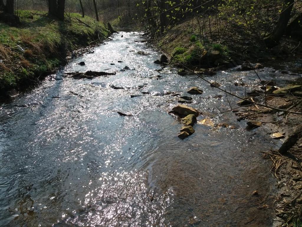 veličin, parametrů a skutečností