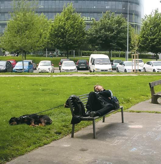 Dnes je to místo, kam chodí desítky lidí starat se o své záhony v komunitní zahradě, a další stovky lidí, kteří objevili toto místo jako relaxační zónu.
