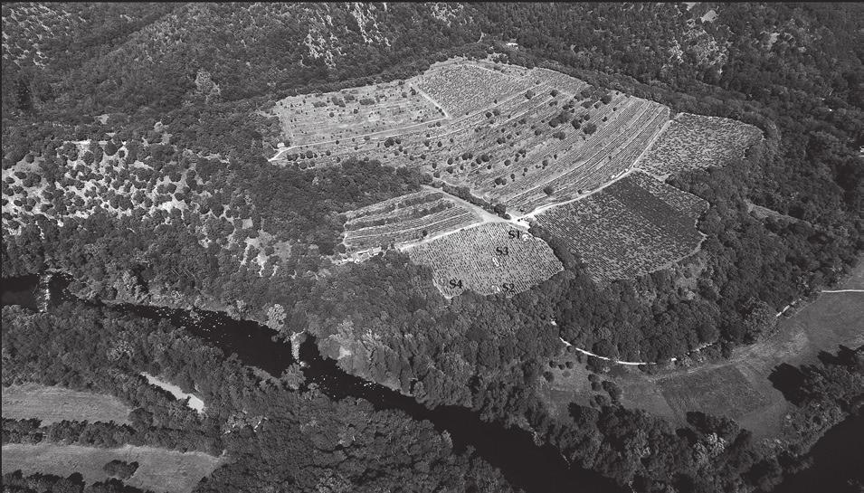 Přehled výzkumů 57-1, Brno 2016 V rámci záchranného archeologického výzkumu došlo k začištění profilu a k dokumentaci tvaru a rozměrů zásobní jámy.
