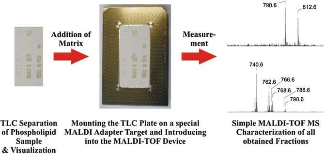 TLC/MALDI-MS nalepení TLC destičky na MALDI destičku nebo použití speciálního adaptéru (identický postup jako při hmotnostně spektrometrickém zobrazování) x, y