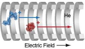 Analyzátory iontové pohyblivosti (mobility) Intenzita ionty v plynné fázi jsou separovány v mobilní cele v prostředí neutrálního plynu (He, N 2 ) na mobilní celu je aplikováno elektrické pole (různé