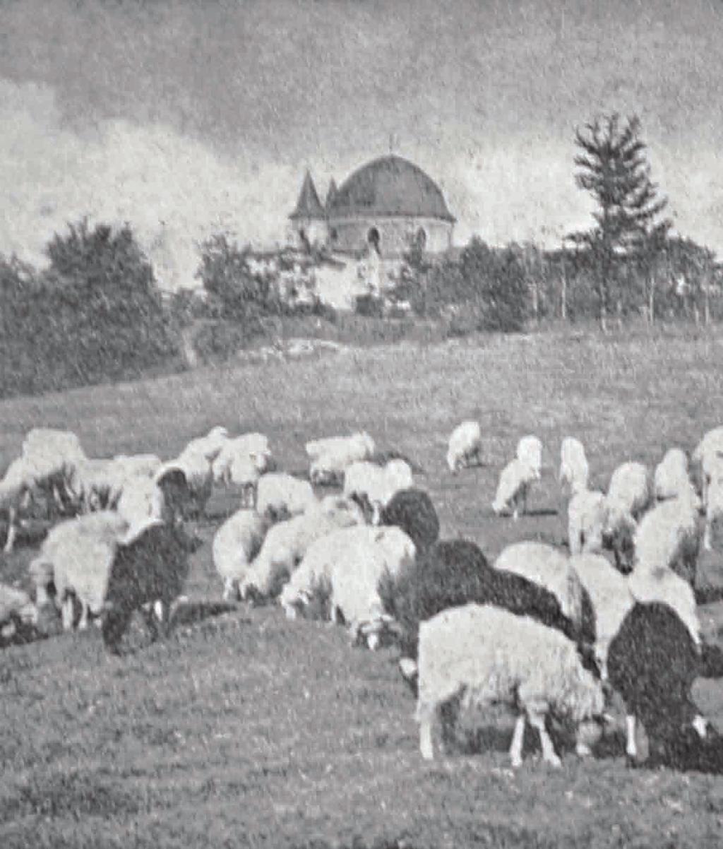 Květen / Červen 27 28 29 30 31 1 2 sv. Augustin z Canterbury Valdemar sv. Emil Vilém sv. Maximin Maxmilián Nanebevstoupení Páně (doporučený svátek) / sv.