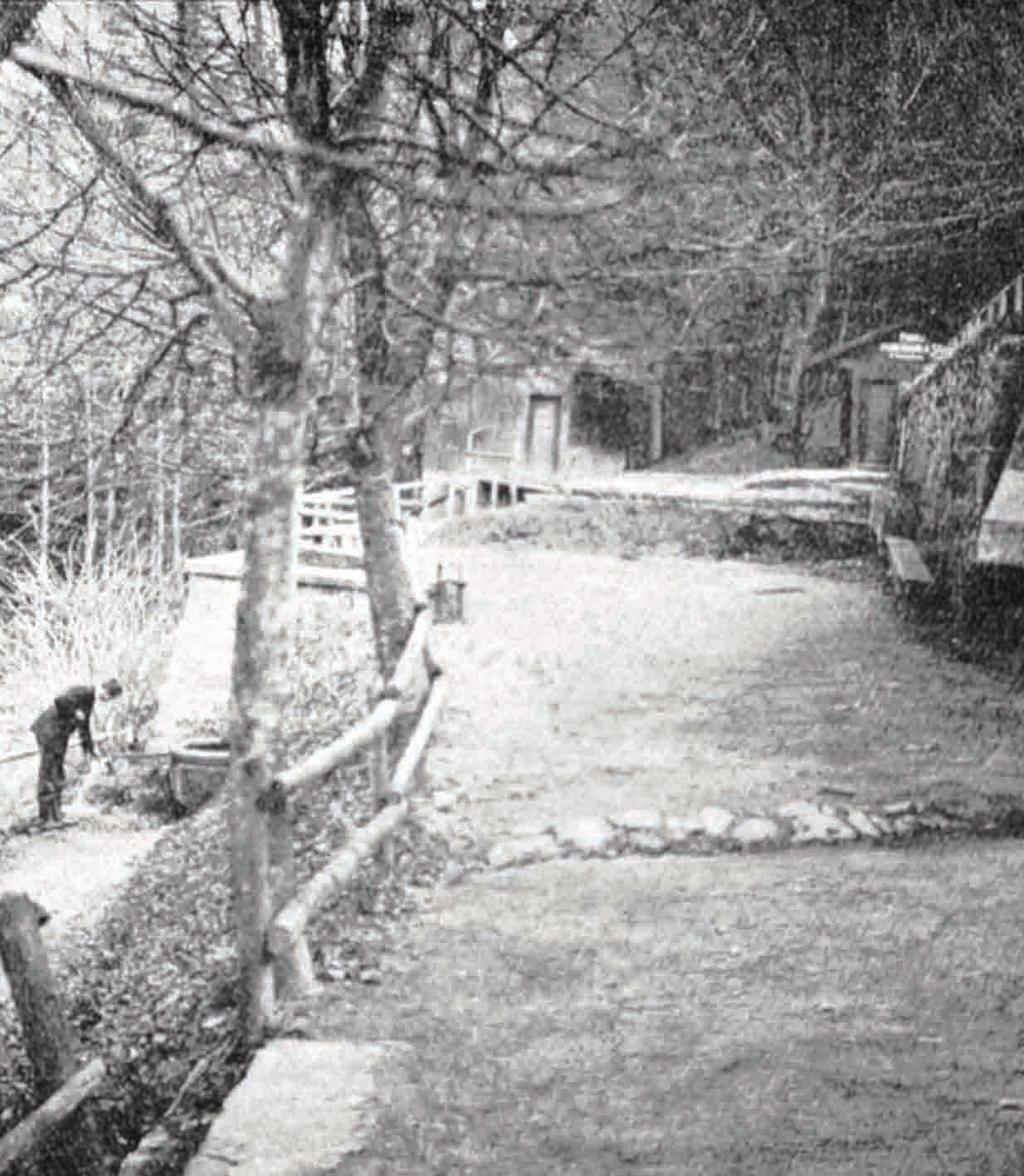 Listopad 18 19 20 21 22 23 24 Posvěcení římských bazilik svatých apoštolů Petra a Pavla Romana sv. Mechtilda Alžběta sv. Felix z Valois Nikola Zasvěcení Panny Marie v Jeruzalémě Albert sv.